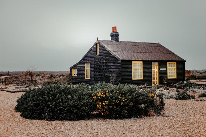 compact desert yard